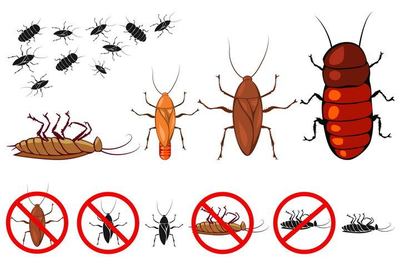 各种蟑螂灭虫消灭害虫防虫标志图标图片免抠矢量素材