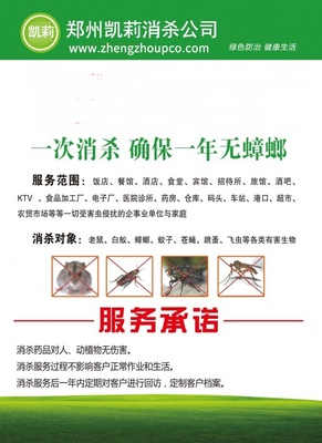 郑州灭鼠公司,郑州学校灭鼠公司,郑州幼儿园灭鼠公司找哪个